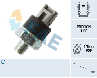 Oil Pressure Switch FAE 12545