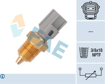 FAE 33425 Sensor, oil temperature