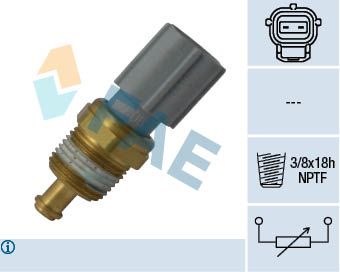 Sensor, coolant temperature FAE 33734