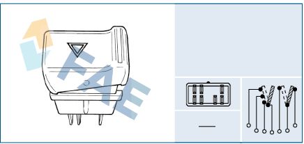 FAE 61110 Hazard Warning Light Switch