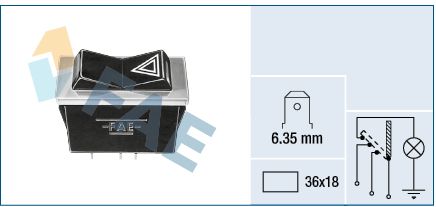 FAE 62040 Switch