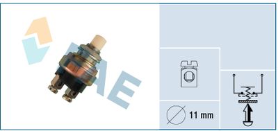 Switch FAE 63160