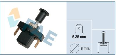 Switch FAE 65060