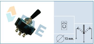 Switch FAE 65110