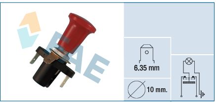 FAE 65770 Switch