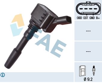 FAE 80238 Ignition Coil