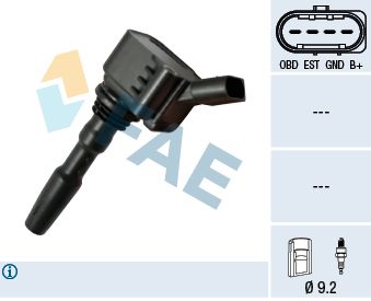 FAE 80249 Ignition Coil