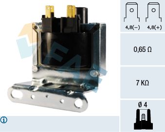 FAE 80262 Ignition Coil