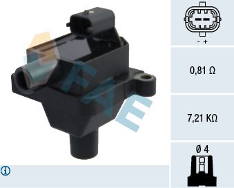 FAE 80313 Ignition Coil