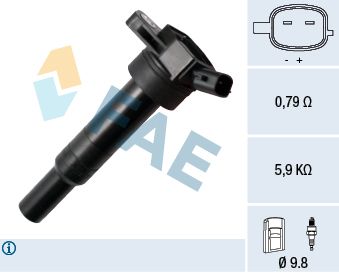 FAE 80342 Ignition Coil