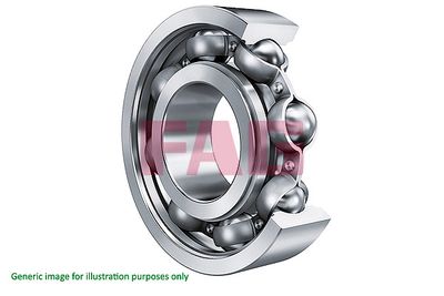 Bearing Schaeffler FAG 6006