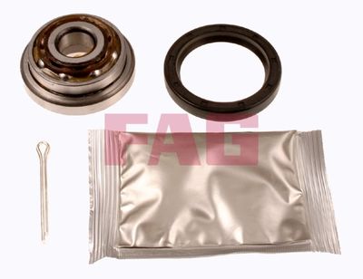 Wheel Bearing Kit Schaeffler FAG 713 6202 30
