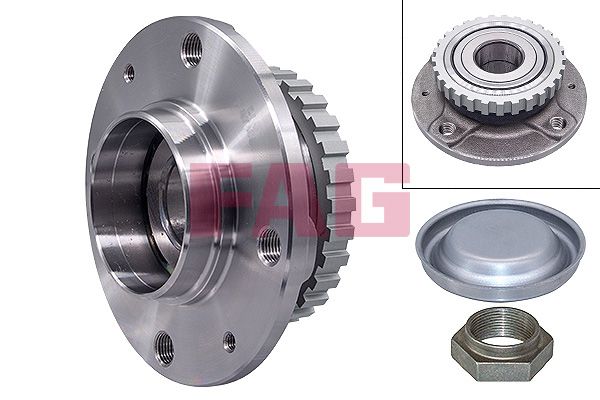 Schaeffler FAG 713 6300 70 Wheel Bearing Kit
