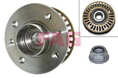 Wheel Bearing Kit Schaeffler FAG 713 6304 20