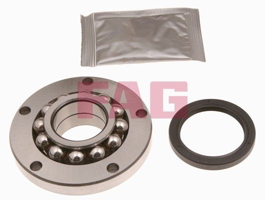 Schaeffler FAG 713 6402 30 Wheel Bearing Kit