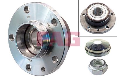 Wheel Bearing Kit Schaeffler FAG 713 6909 80