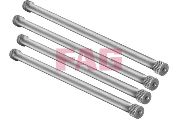 Schaeffler FAG 813 0001 30 Suspension Set, springs