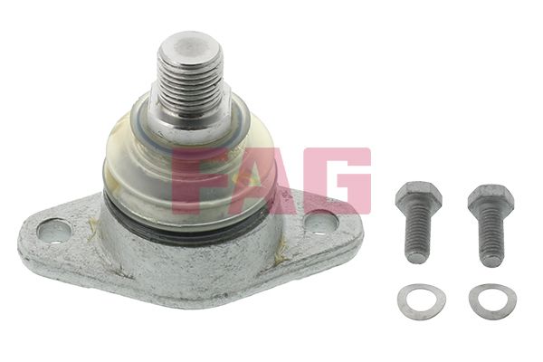 Schaeffler FAG 817 0001 10 Mounting, shock absorber