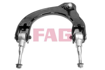 Control/Trailing Arm, wheel suspension Schaeffler FAG 821 0001 10