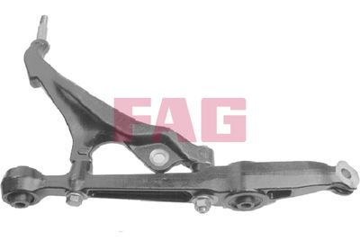 Control/Trailing Arm, wheel suspension Schaeffler FAG 821 0029 10