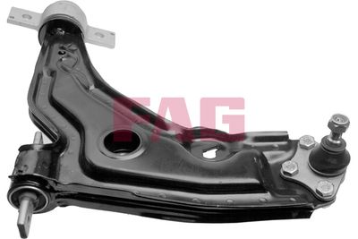 Control/Trailing Arm, wheel suspension Schaeffler FAG 821 0046 10