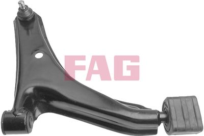 Control/Trailing Arm, wheel suspension Schaeffler FAG 821 0055 10