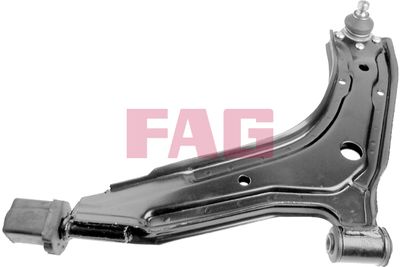 Control/Trailing Arm, wheel suspension Schaeffler FAG 821 0058 10