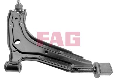 Control/Trailing Arm, wheel suspension Schaeffler FAG 821 0059 10