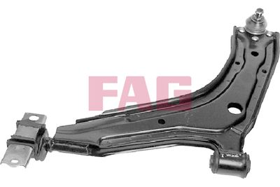 Control/Trailing Arm, wheel suspension Schaeffler FAG 821 0060 10