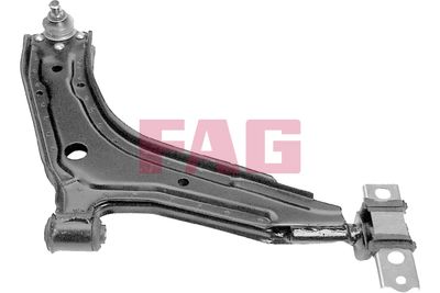 Control/Trailing Arm, wheel suspension Schaeffler FAG 821 0061 10