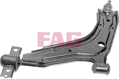 Control/Trailing Arm, wheel suspension Schaeffler FAG 821 0062 10