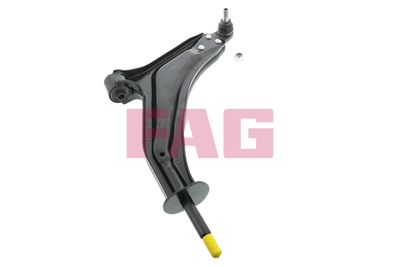 Control/Trailing Arm, wheel suspension Schaeffler FAG 821 0068 10