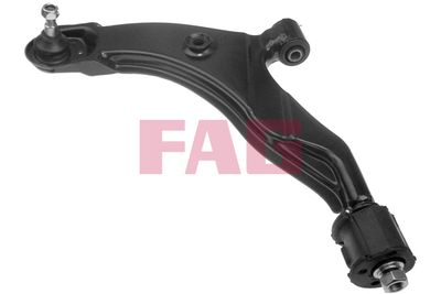 Control/Trailing Arm, wheel suspension Schaeffler FAG 821 0076 10