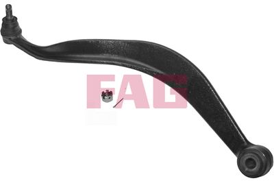Control/Trailing Arm, wheel suspension Schaeffler FAG 821 0094 10
