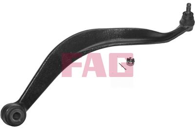 Control/Trailing Arm, wheel suspension Schaeffler FAG 821 0095 10