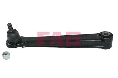 Control/Trailing Arm, wheel suspension Schaeffler FAG 821 0096 10
