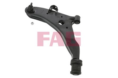 Control/Trailing Arm, wheel suspension Schaeffler FAG 821 0100 10