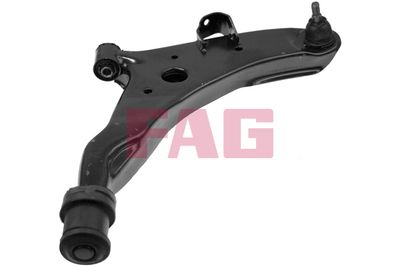Control/Trailing Arm, wheel suspension Schaeffler FAG 821 0101 10