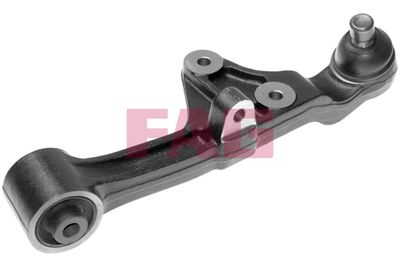 Control/Trailing Arm, wheel suspension Schaeffler FAG 821 0116 10