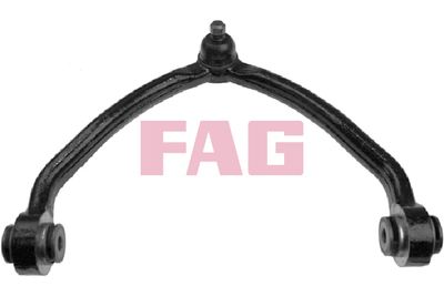 Control/Trailing Arm, wheel suspension Schaeffler FAG 821 0124 10