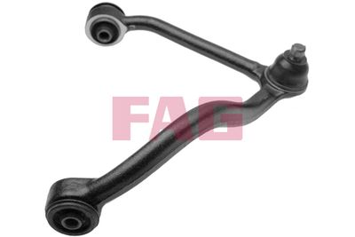 Control/Trailing Arm, wheel suspension Schaeffler FAG 821 0131 10