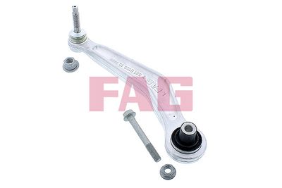Control/Trailing Arm, wheel suspension Schaeffler FAG 821 0160 10