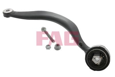 Control/Trailing Arm, wheel suspension Schaeffler FAG 821 0176 10