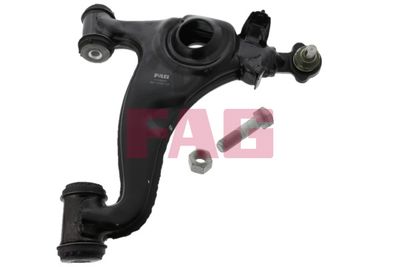 Control/Trailing Arm, wheel suspension Schaeffler FAG 821 0187 10