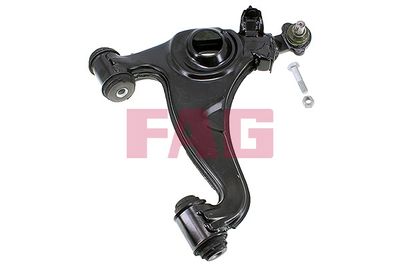 Control/Trailing Arm, wheel suspension Schaeffler FAG 821 0189 10