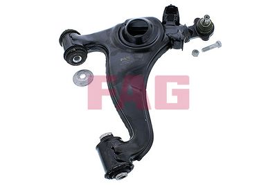 Control/Trailing Arm, wheel suspension Schaeffler FAG 821 0191 10
