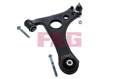 Control/Trailing Arm, wheel suspension Schaeffler FAG 821 0198 10