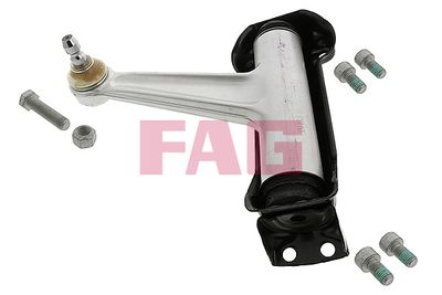 Control/Trailing Arm, wheel suspension Schaeffler FAG 821 0202 10