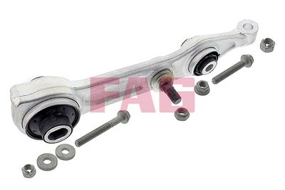 Control/Trailing Arm, wheel suspension Schaeffler FAG 821 0213 10
