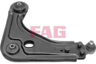 Control/Trailing Arm, wheel suspension Schaeffler FAG 821 0231 10
